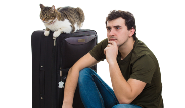 Cinco consejos que debes tener en cuenta si piensas salir de viaje con tu mascota