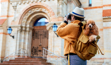Cinco consejos que debes tener en cuenta si piensas salir de viaje con tu mascota