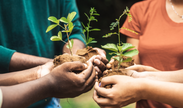 El Per&uacute; empieza a recuperar su color verde