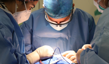 &lsquo;Barcelona Line&rsquo;: La gu&iacute;a definitiva para la planificaci&oacute;n de cirug&iacute;as est&eacute;tico-funcionales