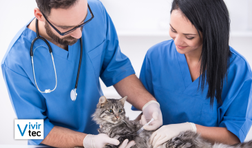 D&iacute;a Mundial del Veterinario: tres importantes funciones que realizan a favor de la salud p&uacute;blica