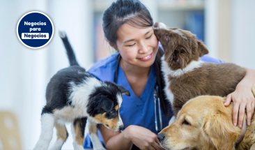 D&iacute;a Mundial del Veterinario: tres importantes funciones que realizan a favor de la salud p&uacute;blica