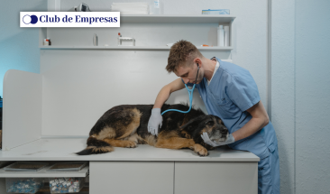 D&iacute;a Mundial del Veterinario: tres importantes funciones que realizan a favor de la salud p&uacute;blica