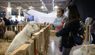 Expo Mascotas & Animales 2023: El evento m&aacute;s grande de Latinoam&eacute;rica tendr&aacute; und&eacute;cima versi&oacute;n en Chile