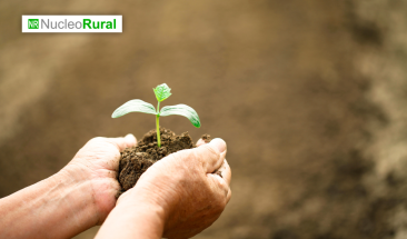 Desaf&iacute;os actuales del sector agro en el Per&uacute;