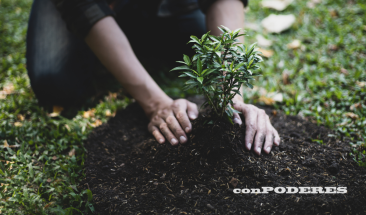 Minam busca recuperar m&aacute;s de 6000 m2 de espacio p&uacute;blico en comunidad de Manchay en Pachac&aacute;mac