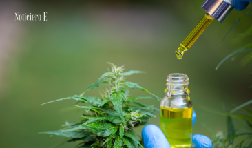 Bogot&aacute;: distrito destina $800 millones para financiar proyectos de cannabis medicinal