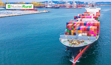 Exportan haba seca de Cusco al mercado asi&aacute;tico