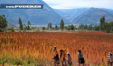 Conoce las oportunidades de desarrollo sostenible que hay en tu localidad