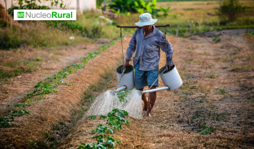 Sanidad vegetal para la agricultura familiar