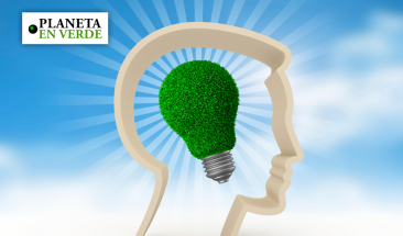 Inteligencia Artificial para combatir el cambio clim&aacute;tico