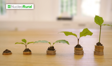 Per&uacute;: aprueban cr&eacute;ditos para peque&ntilde;os productores del campo