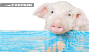 Carne de cerdo: cinco mitos sobre su consumo