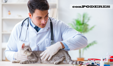 MSD Animal Health particip&oacute; en el Latin American Veterinary Conference promoviendo la salud y el bienestar animal