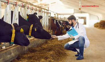 MSD Animal Health particip&oacute; en el Latin American Veterinary Conference promoviendo la salud y el bienestar animal