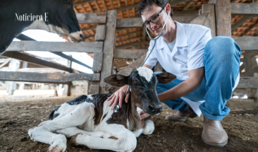 MSD Animal Health particip&oacute; en el Latin American Veterinary Conference promoviendo la salud y el bienestar animal