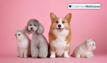 MSD Animal Health mostr&oacute; su nueva tecnolog&iacute;a en el LAVC 2023