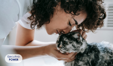 &iquest;Cu&aacute;l es la mejor alimentaci&oacute;n para un gato esterilizado?