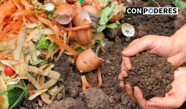Esto debes saber sobre los residuos s&oacute;lidos org&aacute;nicos e inorg&aacute;nicos aprovechables