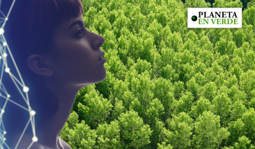 D&iacute;a Mundial del Medioambiente: &iquest;c&oacute;mo la inteligencia artificial potenciar&aacute; la sostenibilidad?