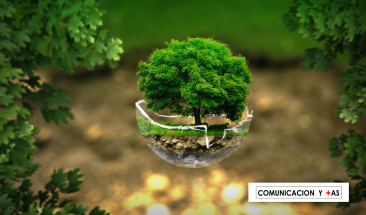 D&iacute;a Mundial del Medioambiente: &iquest;c&oacute;mo la inteligencia artificial potenciar&aacute; la sostenibilidad?