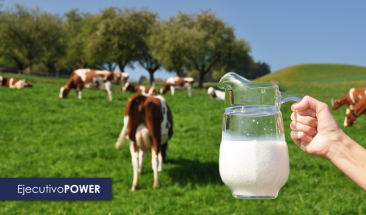 D&iacute;a Mundial de la Leche: Senasa registr&oacute; m&aacute;s de 4 mil establos lecheros en el pa&iacute;s