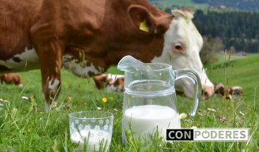 D&iacute;a Mundial de la Leche: Senasa registr&oacute; m&aacute;s de 4 mil establos lecheros en el pa&iacute;s