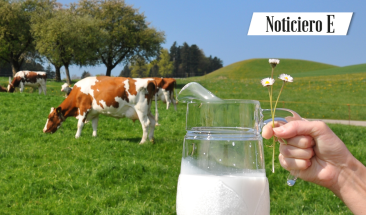 D&iacute;a Mundial de la Leche: Senasa registr&oacute; m&aacute;s de 4 mil establos lecheros en el pa&iacute;s