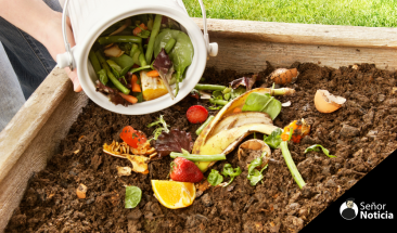 Chile: primer patio de comidas que transforma residuos org&aacute;nicos en abono