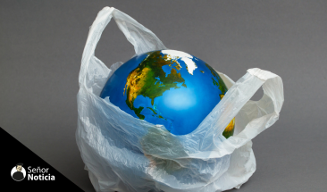 D&iacute;a Mundial del Medio Ambiente