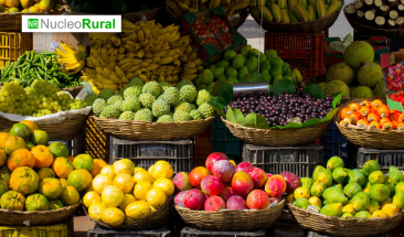 Colombia incrementa su exportaci&oacute;n de frutas ex&oacute;ticas