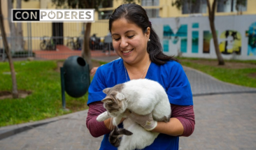 M&aacute;s de 70 gatos del parque Kennedy de Miraflores ya cuentan con microchips de identificaci&oacute;n