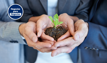 Acciones clave para que las empresas cuiden el medio ambiente