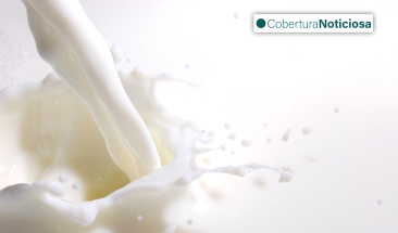 Cinco datos curiosos que te sorprender&aacute;n de la leche