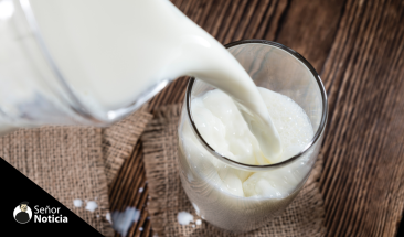 Cinco datos curiosos que te sorprender&aacute;n de la leche