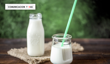 Cinco datos curiosos que te sorprender&aacute;n de la leche