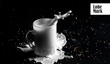 Cinco datos curiosos que te sorprender&aacute;n de la leche