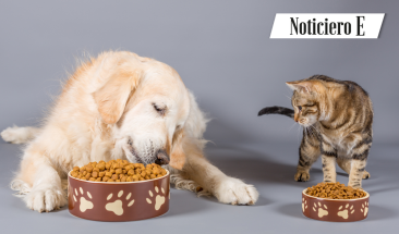 Purina otorga importante donaci&oacute;n a asociaciones afectadas por lluvias en el norte del Per&uacute;