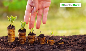 Per&uacute;: Agrobanco otorga cr&eacute;ditos a peque&ntilde;os productores