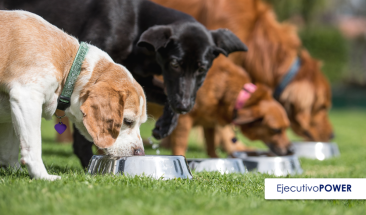 Grupo Rava present&oacute; la planta con la que producir&aacute; alimento para mascotas en Ciudad del Plata