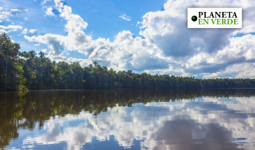 Plan para combatir la deforestaci&oacute;n en la Amazon&iacute;a peruana