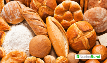 Per&uacute;, un socio clave para la industria de panes