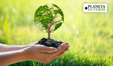 Cumbre virtual para un mundo sostenible