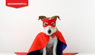 Este domingo 25 ven con tu mascota y participa en el concurso de disfraces en el parque Antonio Raimondi