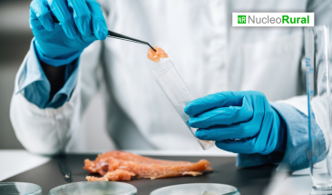 &iexcl;Una revoluci&oacute;n en la producci&oacute;n de carne!