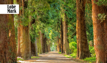 ARBIO Per&uacute; gana un reconocimiento en Cannes Lions