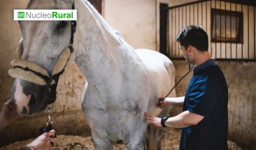 D&iacute;a Mundial de la Zoonosis: tres valiosos consejos para cuidar la salud