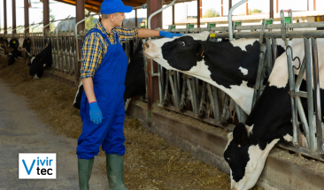 D&iacute;a Mundial de la Zoonosis: tres valiosos consejos para cuidar la salud
