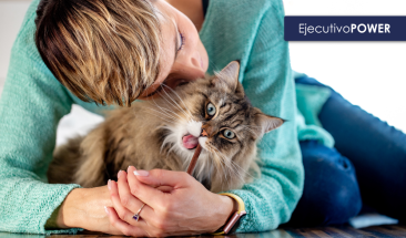 D&iacute;a Mundial de la Zoonosis: tres valiosos consejos para cuidar la salud