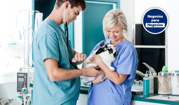 D&iacute;a Mundial de la Zoonosis: tres valiosos consejos para cuidar la salud